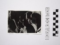 藏品(黃則修攝野柳地景燭臺石3)的圖片