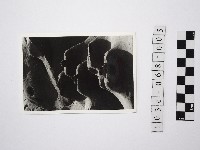 藏品(黃則修攝野柳地景燭臺石5)的圖片