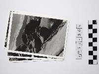 藏品(黃則修攝野柳地景燭臺石系列照片)的圖片