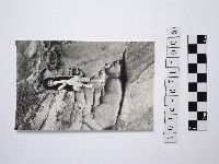 藏品(黃則修攝女藝人鄭慶寧)的圖片