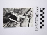 藏品(黃則修攝女藝人鄭慶寧)的圖片