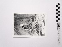 藏品(黃則修攝女藝人凌波、鄭慶寧)的圖片