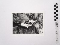 藏品(黃則修攝女藝人凌波、鄭慶寧)的圖片