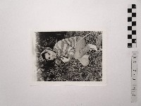 藏品(黃則修攝女藝人江霞)的圖片
