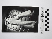 藏品(黃則修攝女藝人6)的圖片