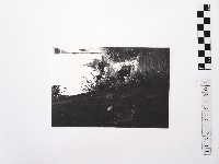 藏品(黃則修攝小徑2)的圖片