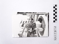 藏品(黃則修攝淡水馬偕系列照片)的圖片