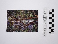 藏品(黃則修攝瀑布1)的圖片