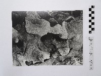 藏品(黃則修攝野柳地景風化紋2)的圖片