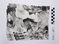 藏品(黃則修攝野柳地景系列照片)的圖片