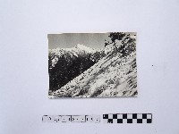藏品(黃則修攝合歡雪坡與奇萊主峰)的圖片