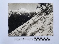 藏品(黃則修攝合歡雪坡與奇萊主峰)的圖片