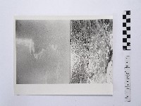 藏品(黃則修攝海面景致1)的圖片