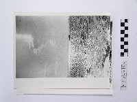 藏品(黃則修攝海面系列照片)的圖片