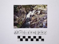 藏品(黃則修攝溪流)的圖片