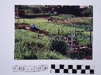 藏品(黃則修攝田園)的圖片