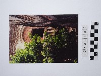 藏品(黃則修攝磚造洋樓一隅)的圖片