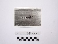 藏品(黃則修攝一名戴著斗笠的人)的圖片