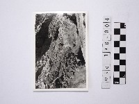 藏品(黃則修攝野柳地景)的圖片