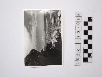 藏品(黃則修攝野柳地景)的圖片