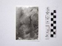 藏品(黃則修攝野柳地景)的圖片