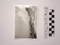 藏品(黃則修攝野柳地景)的圖片