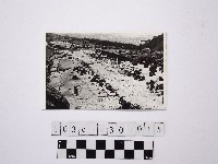 藏品(黃則修攝野柳地景)的圖片