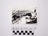 藏品(黃則修攝野柳地景)的圖片