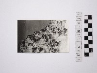 藏品(黃則修攝野柳地景)的圖片