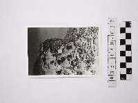 藏品(黃則修攝野柳地景)的圖片