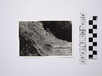 藏品(黃則修攝野柳地景)的圖片