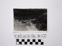 藏品(黃則修攝野柳地景)的圖片