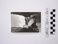 藏品(黃則修攝野柳地景)的圖片