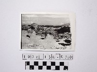 藏品(黃則修攝野柳地景)的圖片
