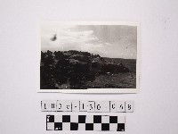 藏品(黃則修攝野柳地景)的圖片