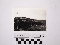 藏品(黃則修攝野柳地景)的圖片