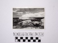 藏品(黃則修攝野柳地景)的圖片