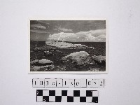 藏品(黃則修攝野柳地景)的圖片