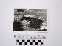 藏品(黃則修攝野柳地景)的圖片