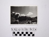 藏品(黃則修攝野柳地景)的圖片