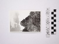 藏品(黃則修攝野柳地景)的圖片