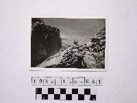 藏品(黃則修攝野柳地景)的圖片