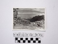 藏品(黃則修攝野柳地景)的圖片