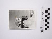 藏品(黃則修攝野柳地景)的圖片