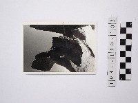 藏品(黃則修攝野柳地景)的圖片