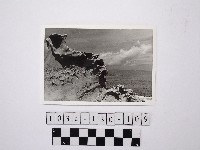 藏品(黃則修攝野柳地景)的圖片