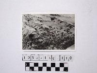 藏品(黃則修攝野柳地景)的圖片