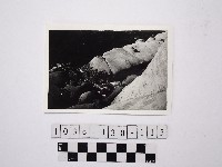 藏品(黃則修攝野柳地景)的圖片