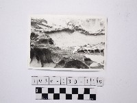 藏品(黃則修攝野柳地景)的圖片