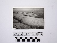 藏品(野柳地形)的圖片